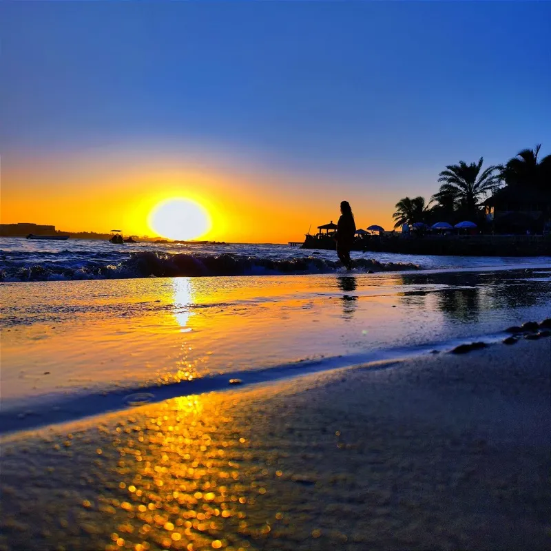 Beach sunset with silhouette and golden reflections
